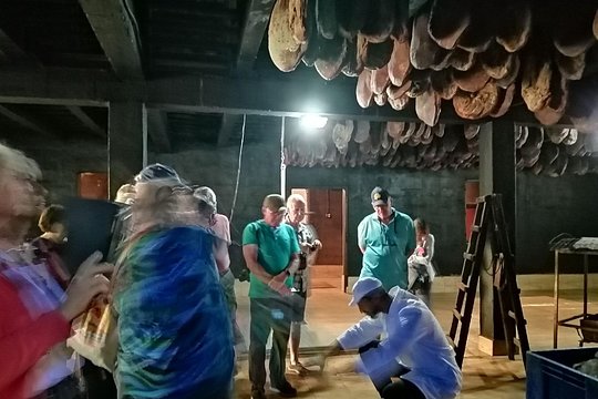 Tour image 2