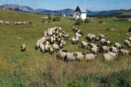 Tour image 7