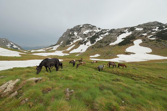 Tour image 4