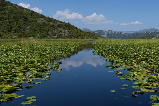 Tour image 5